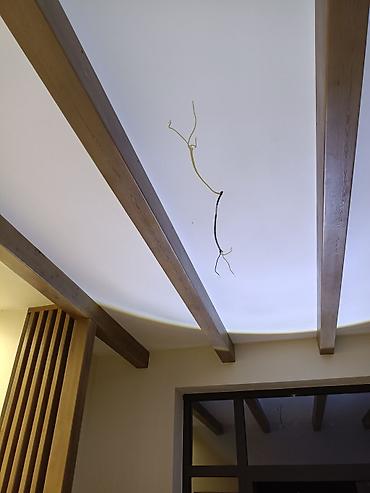 Балки: Декоративные элементы из дерева для интерьера. На заказ!!! - — 5