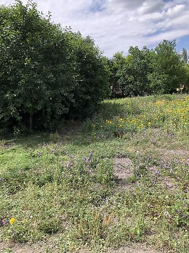 əmlak az ismayıllı: 10 sot, Tikinti, Mülkiyyətçi, Kupça (Çıxarış) — 8