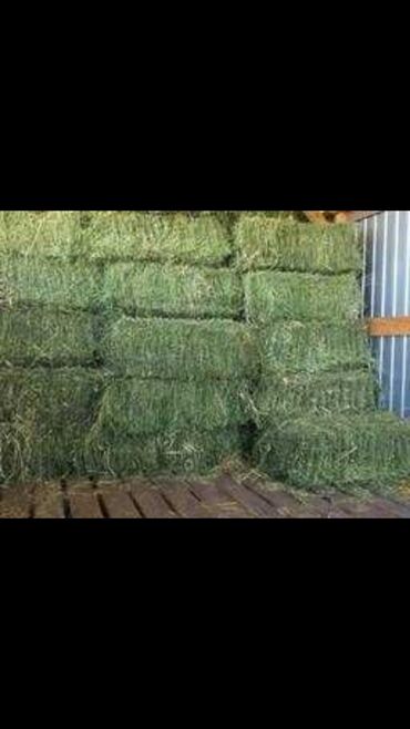 Другие аксессуары: Продаю на Лексус Жх 470 комплект оригинальных дисков, так же есть — 14