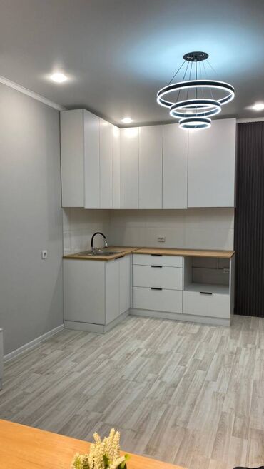 Продажа квартир: 1 комната, 27 м², Элитка, 3 этаж, Евроремонт