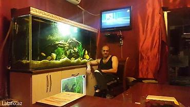 akvarium lampa: Akvarium-şkaf, 1000 l — 3