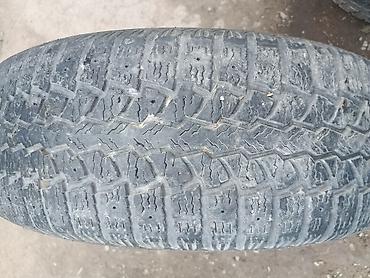 lt 46: Шины 245 / 65 / R 17, Лето, Б/у, 1 шт, Легковые, Япония, Maxxis — 1