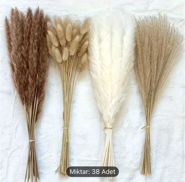 Süni güllər: Green Line Qurudulmuş Dekor Otları – Təbii Gözəllik, Zərif Sadəlik! 📏 — 2