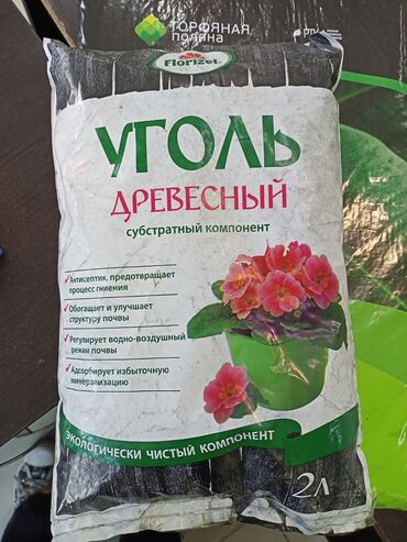 Витамины и БАДы: Уголь