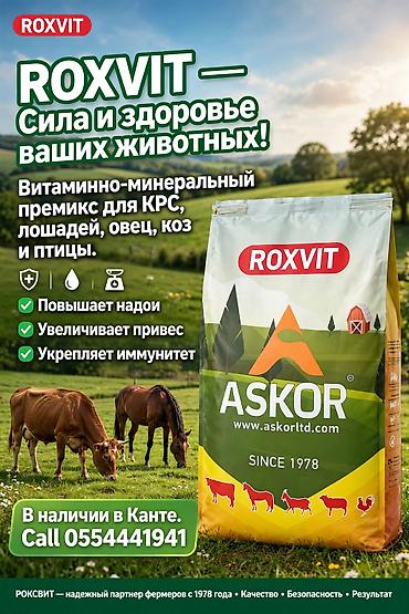 ROXVIT (ASKOR) — витаминно-минеральный премикс для