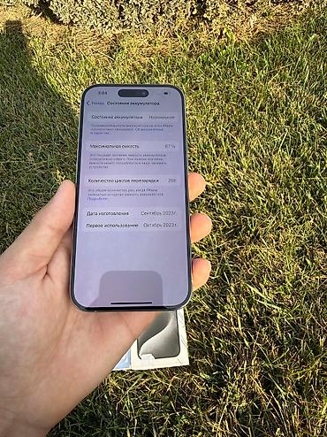 iphone cs max: IPhone 15 Pro, Б/у, 256 ГБ, Natural Titanium, Зарядное устройство, Защитное стекло, Чехол, 87 % — 6
