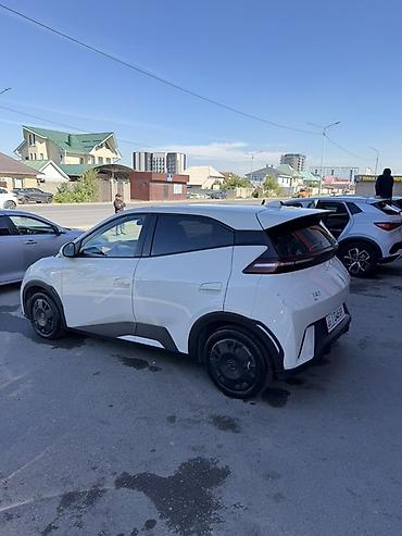 BYD: BYD Seagull: 2025 г., 0.1 л, Робот, Электромобиль, Хэтчбэк — 4