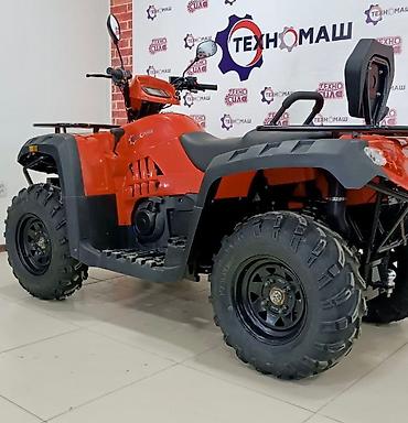 Квадроциклы: Квадроцикл Бензин, 500 куб. см, Взрослый — 6