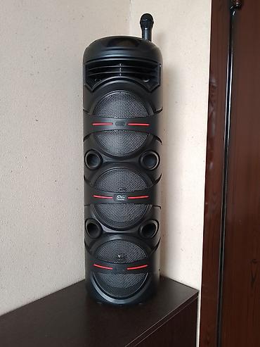 sekaku mikrafon: Karaoke partnyoru olan portativ səs sistemi – Sing-e ZQS8302 — 1