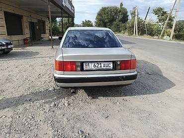 дверные карты на 124: Audi 100: 1993 г., 2.3 л, Механика, Газ, Седан — 3