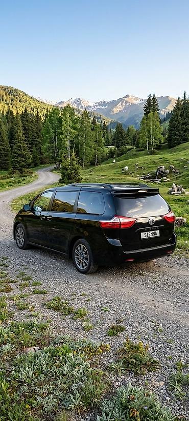 camry 50 2012: Toyota Sienna: 2012 г., 3.5 л, Автомат, Бензин, Минивэн — 4