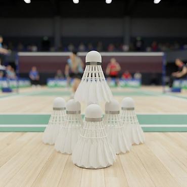 Raketkalar: Badminton volan dəsti – YL-806 - Model: YL-806 - Tərkib: 1 ədəd — 3