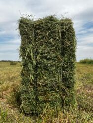 Зерновые культуры: Беде Беде Беде Клевер Клевер доставка укладка эсть. туки метровые — 2