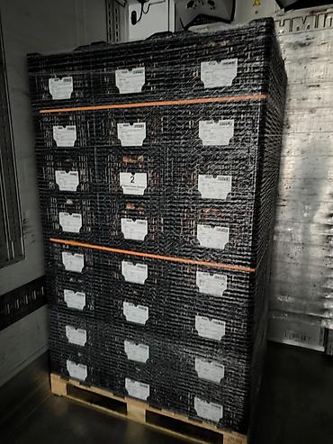 Тюльпан: Платная доставка, Самовывоз — 8