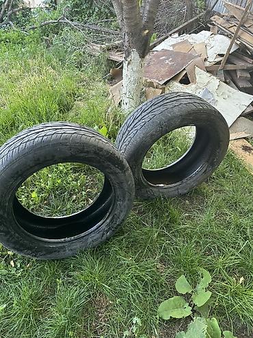 285 65 20: Пара автомобильных шин 285/50 R20 116V. Летние Основные — 1