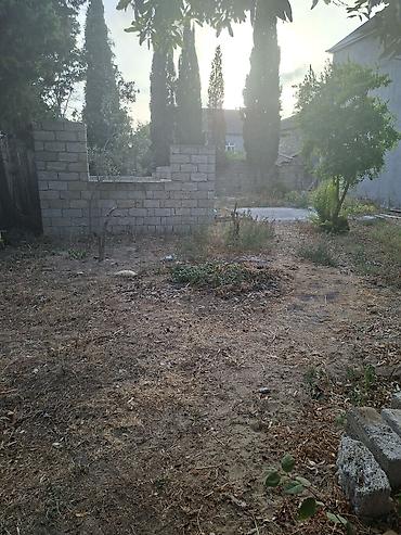 qismetin yeri: 3 sot, Tikinti, Kupça (Çıxarış) — 5
