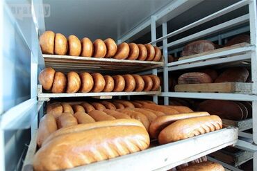 водитель не такси: Талап кылынат Айдоочу-экспедитор, Өз унаасы менен, Тажрыйбасыз, ГСМ компенсациялоо, Толук жумуш күнү, Эркек
