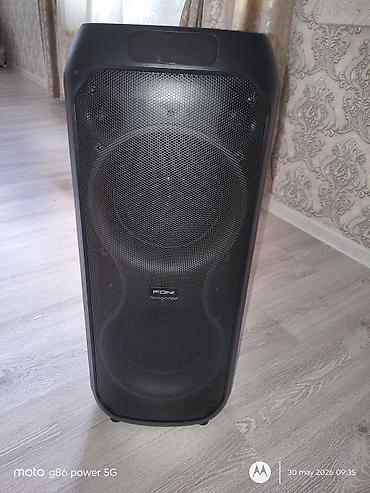radiator islenmis: FONI portativ səs sistemi / partny kolonkası - Güclü iki yollu — 2