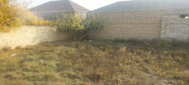 Torpaq sahələrinin satışı: 5 sot, Kupça (Çıxarış) — 6