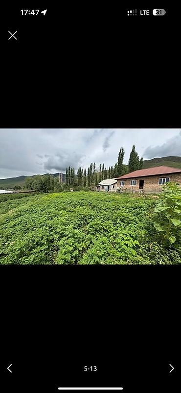 Продажа коттеджей и домов: 🏠Продается дом с участком • Баз для домашних животных (овец, коров и — 18