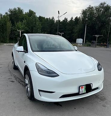 tesla model x: Tesla Model Y: 2024 г., Электромобиль, Кроссовер — 3