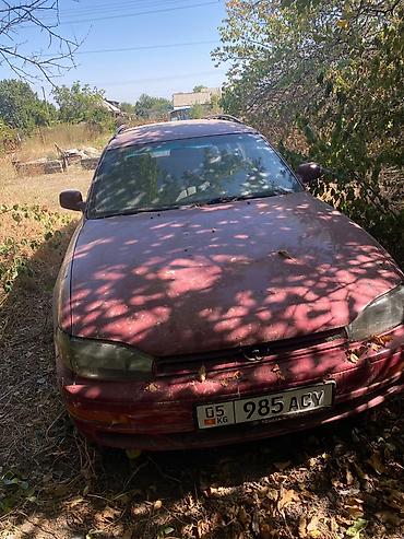 audi 2006: Toyota Caldina: 1994 г., 2.2 л, Автомат, Бензин, Универсал — 1
