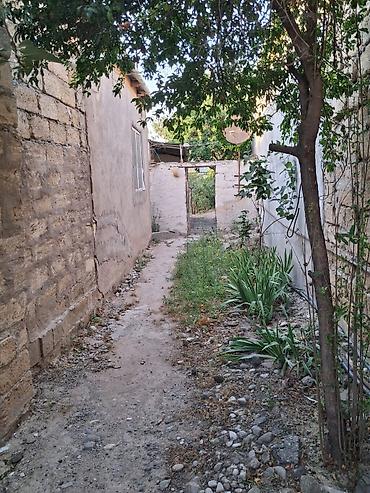 bina az 7 mkr satilan evler: Xırdalanda 2otaqlı 2.5 sot torpaqda ev satılır.meyve ağacları var — 3