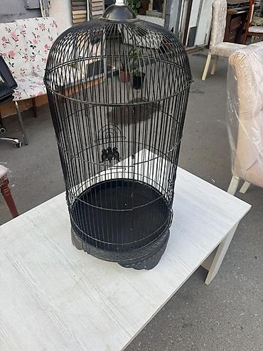 sultan tutuquşusu: Qara metal quş qəfəsi - Material: möhkəm metal, toz boya örtüklü - — 2