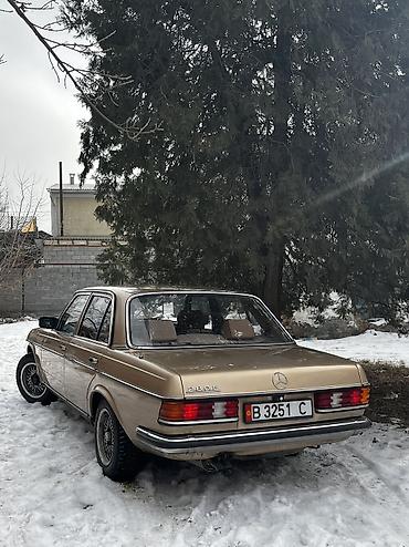Mercedes-Benz: Mercedes-Benz W123: 1981 г., 2.8 л, Механика, Седан — 9