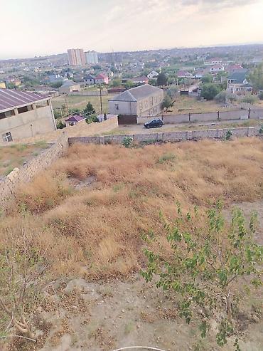 Həyət evləri və villalar: Saray 7 otaqlı, 180 kv. m, Orta təmir — 7