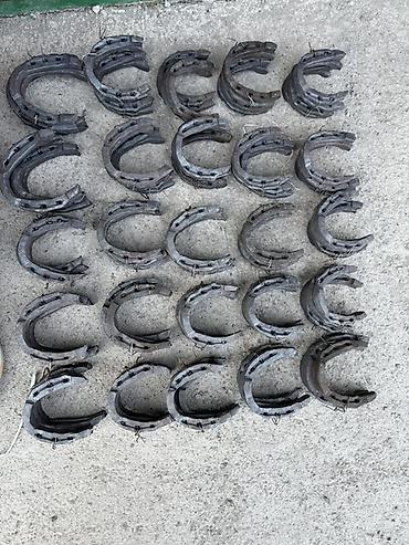 конные снаряжения: Продаю | Кобыла (самка), Конь (самец), Жеребец — 1