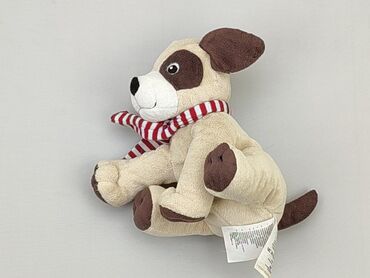 niebieskie legginsy dla dzieci: Mascot Dog, condition - Very good