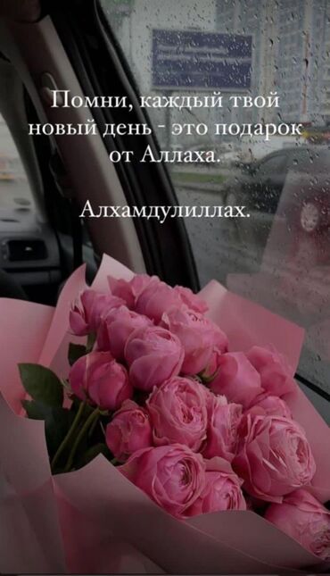 кухонные шкафы на заказ: Биаролдьччлдичсль