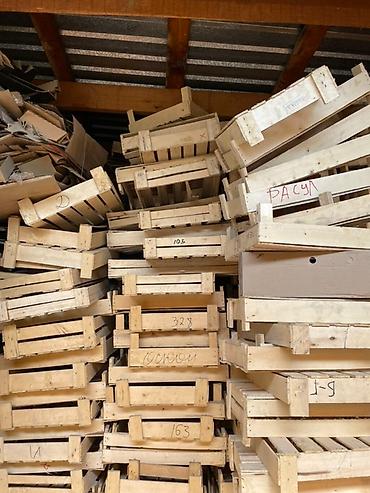 Ящиктер: Пластиковые и деревянные ящики для сельхозпродукции - Тип — 2