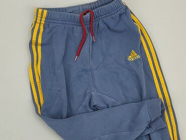 spodnie sindbady: Sweatpants, Adidas, 3-4 years, 104, condition - Good