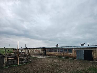 Продажа дач: Продажа дач at lalafo.kg — 9 Продажа дач: Продажа дач — 9
