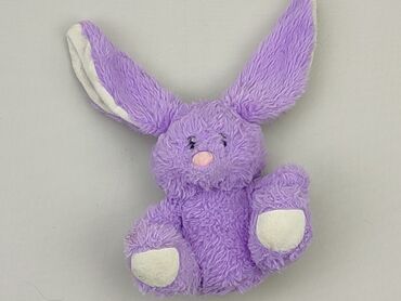 kombinezon królik dla dziecka: М'яка іграшка Кролик, стан - Хороший