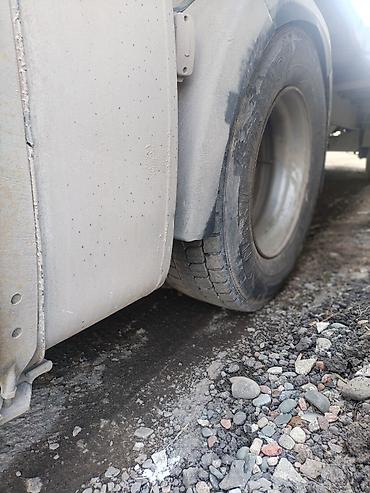 Тягачи: Тягач, DAF, 2006 г. — 17