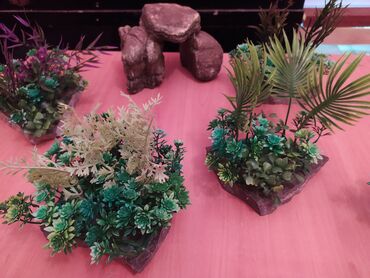 Hummer: Akvarium üçün dekor