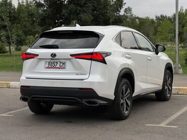 Lexus: Lexus NX: 2018 г., 2 л, Автомат, Бензин, Кроссовер — 12
