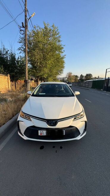 Toyota: Toyota Corolla: 2019 г., 1.8 л, Автомат, Гибрид, Седан