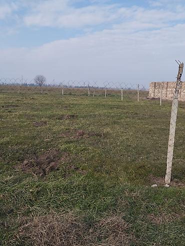 Torpaq sahələrinin satışı: Kənd təsərrüfatı — 3