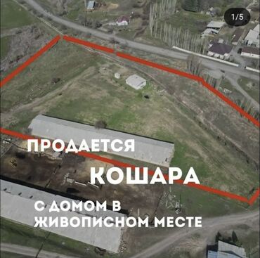 ак тилек ж м: 1500 соток, Для бизнеса, Красная книга, Тех паспорт, Договор купли-продажи