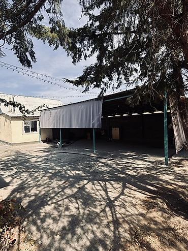 участок г балыкчы: 4 комнаты, 60 м², 18 соток, Шопоков, Собственник — 2