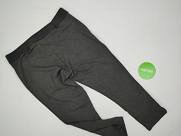 2 р: Janina, Spodnie materiałowe damskie, rozmiar 3XL — 3