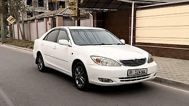 camry 2010: Toyota Camry: 2002 г. — 3