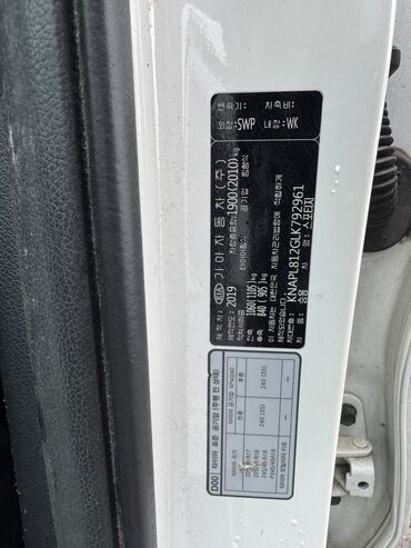 Kia: Kia Sportage: 2019 г., Кроссовер — 8