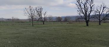 Torpaq sahələrinin satışı: Kənd təsərrüfatı — 16