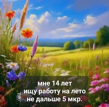 студентов: Ищу работу - Студент, Без опыта, Неполный рабочий день — 1