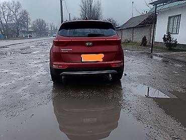 серый gac aion s: Kia Sportage: 2017 г., 2.4 л, Автомат, Бензин, Кроссовер — 6